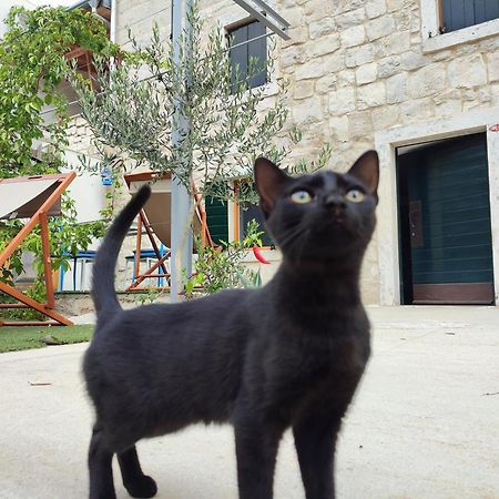 Apartmani Peljesac Sova Sreser Exteriör bild