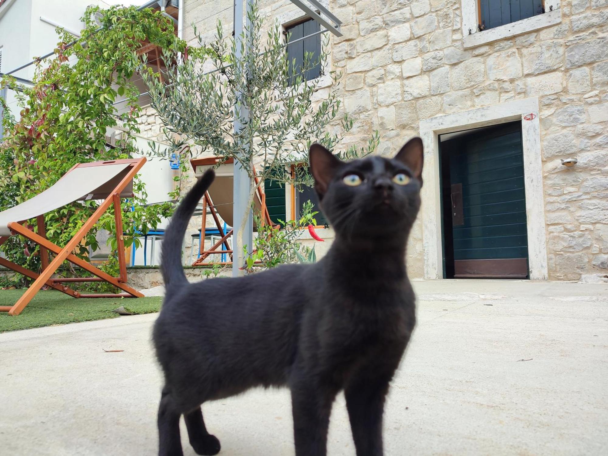 Apartmani Peljesac Sova Sreser Exteriör bild